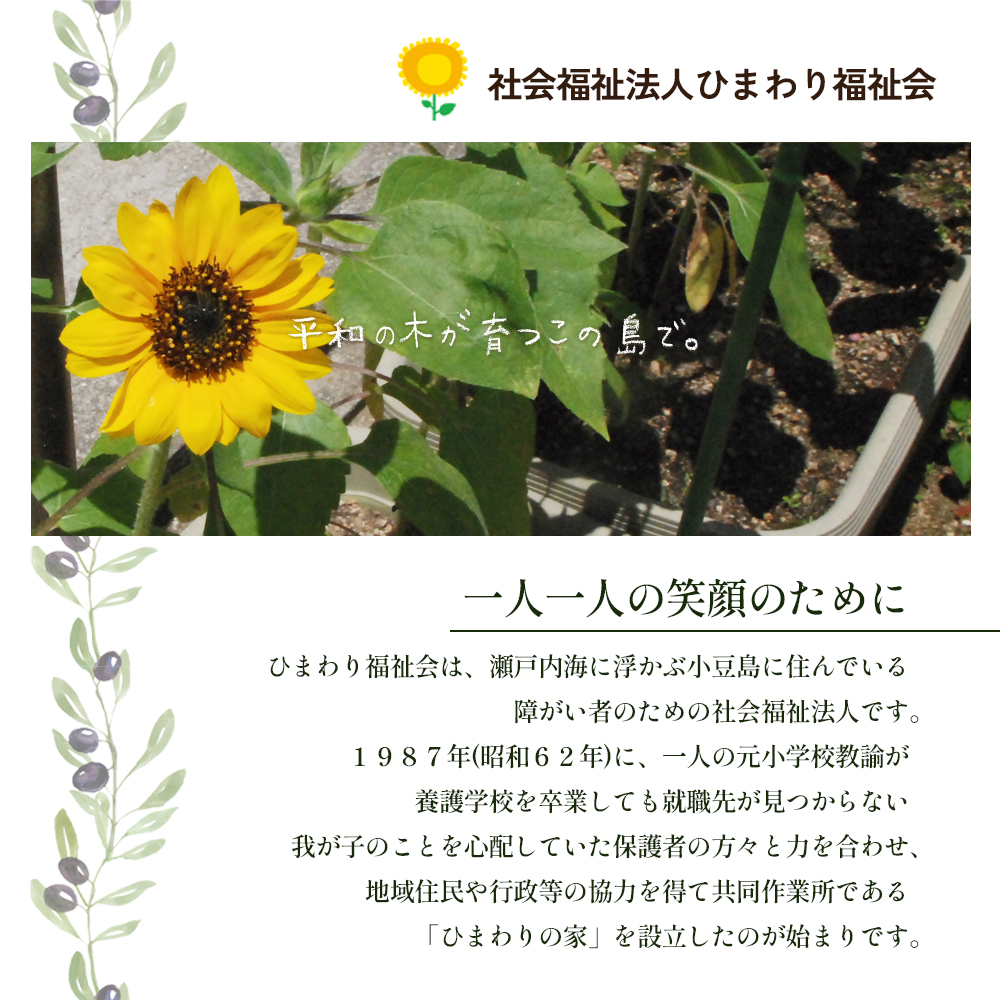 【 小豆島 】100％ 小豆島産 エキストラバージン オリーブオイル 45g5本セット 油 オリーブ油 食用油 調味料 オリーブ オイル ヘルシー 健康 手摘み 手作り 香川 香川県 土庄 土庄町