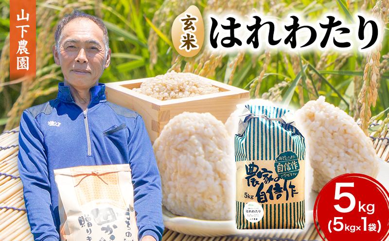米 令和7年産 はれわたり 玄米 5kg 1袋 こめ お米 おこめ コメ ご飯 ごはん 令和7年 山下農園 青森 青森県 