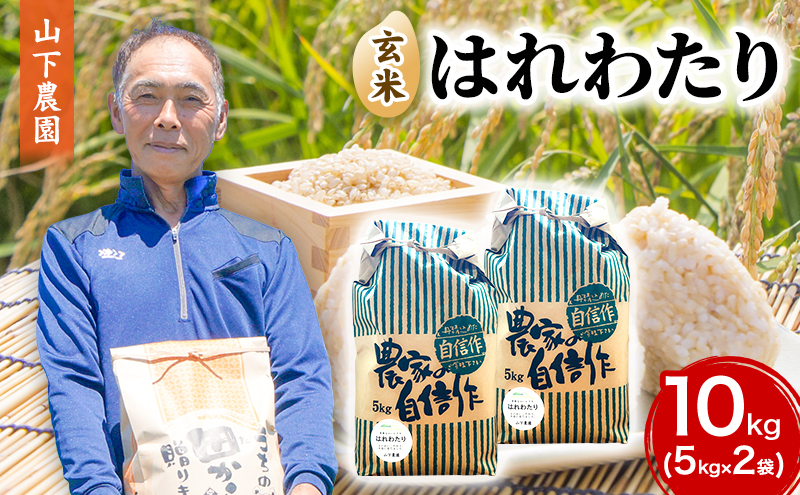 米 令和7年産 はれわたり 玄米 10kg (5kg×2袋) こめ お米 おこめ コメ ご飯 ごはん 令和7年 山下農園 青森 青森県 