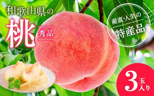 【産直・人気の特産品】和歌山の桃　3玉入り※着日指定不可
