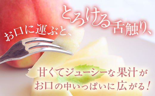 【産直・人気の特産品】和歌山の桃　3玉入り※着日指定不可

