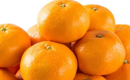 エコファーマーのこだわり有田みかん約10kg(サイズ混合)◇
※2025年11月中旬～2026年1月中旬頃に順次発送予定