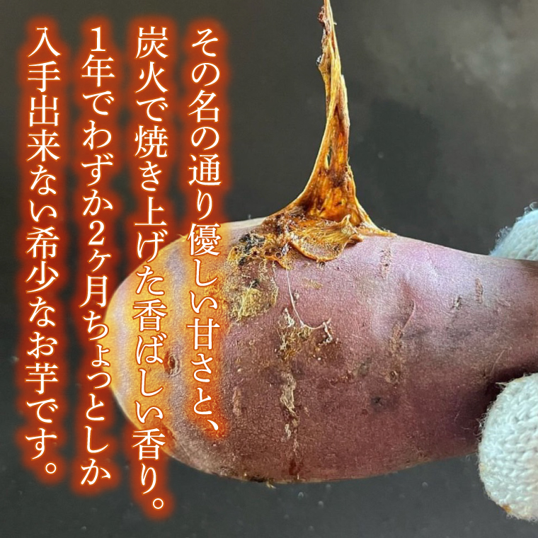 【日本最大級のサツマイモの祭典、さつまいも博2024 出店】はるの優しさ(冷凍やきいも) 約500g｜冷凍 焼芋 焼き芋 やきいも さつまいも さつま芋 熟成 茨城県 行方市 ふるさと納税(GC-1)