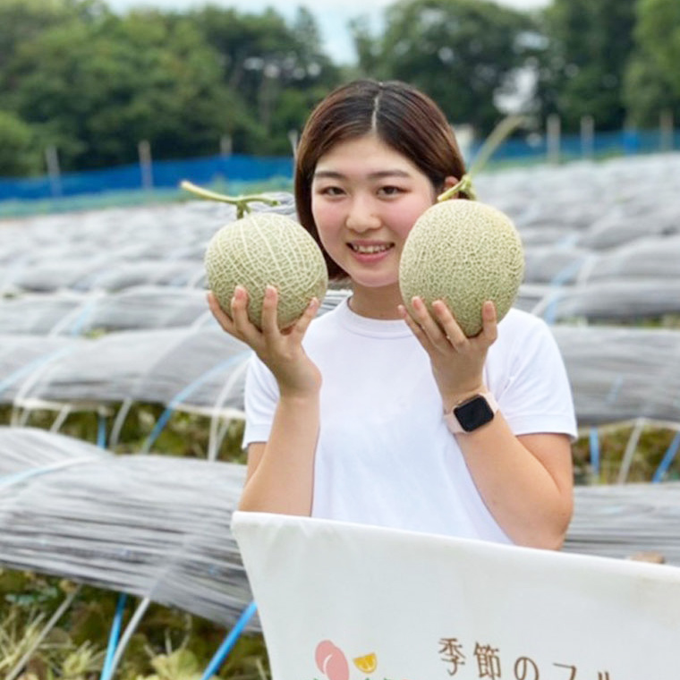 令和7年産 】【 先行予約 】クラリスメロン 秀品 1箱 4玉～5玉