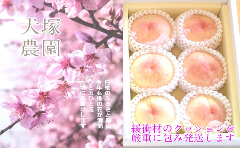 もも 2026年 先行予約 岡山匠の白桃 約1.3kg 4～6玉 犬塚農園 岡山県産  桃 モモ 家庭用 初夏 みずみずしい 