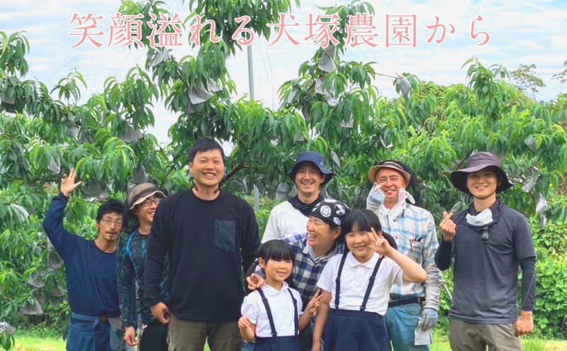 もも 2026年 先行予約 岡山匠の白桃 約2.4kg 7～9玉 犬塚農園 岡山県産  桃 モモ ギフト 初夏 みずみずしい 