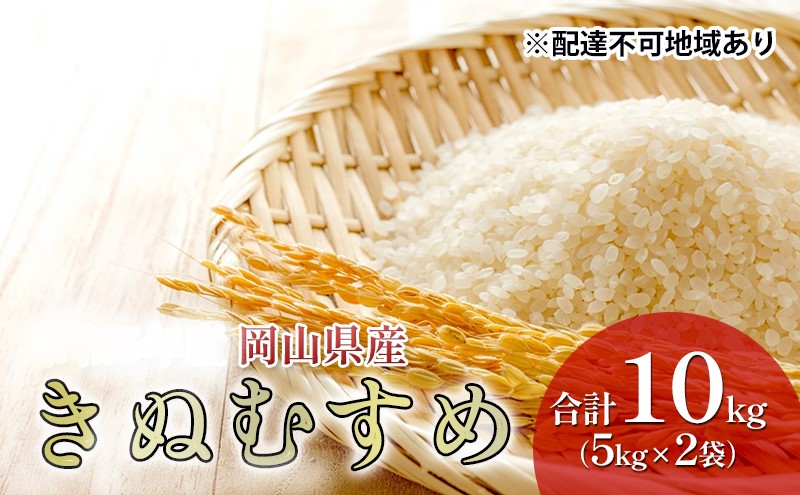 【岡山県高梁市】米 特A ランク きぬむすめ 10kg (5kg×2袋) 令和7年産 こめ コメ 白米 岡山県産