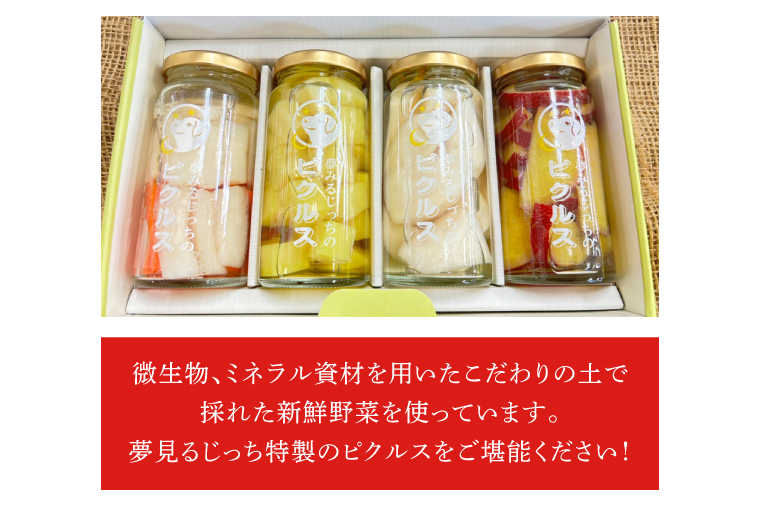 CN-13　【先行予約】【2024年4月中旬より発送】★月20セット限定★夢見るじっちのピクルス（おまかせ4本セット）