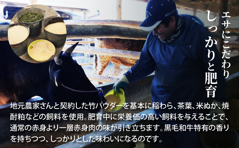 宮崎県木城町のふるさと納税 ＜「山牛」のオリジナルカレー10パックセット＞ K16_0012_1