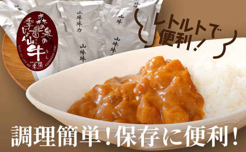 宮崎県木城町のふるさと納税 ＜「山牛」のオリジナルカレー10パックセット＞ K16_0012_1