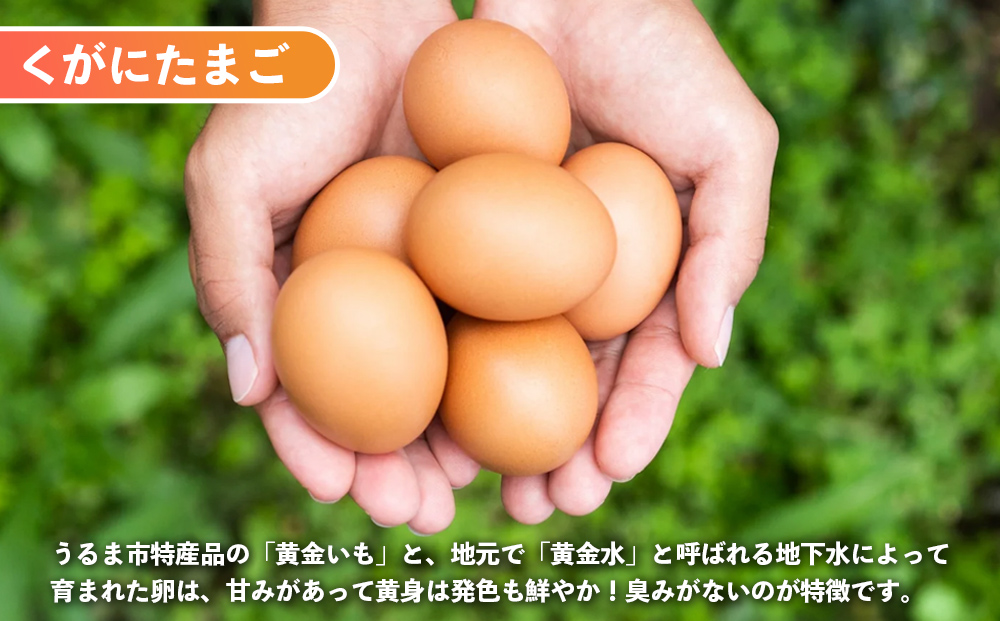 にたまご。 黄金（くがに）セット《くがにたまご物語＋くがにたまご6個入り×2