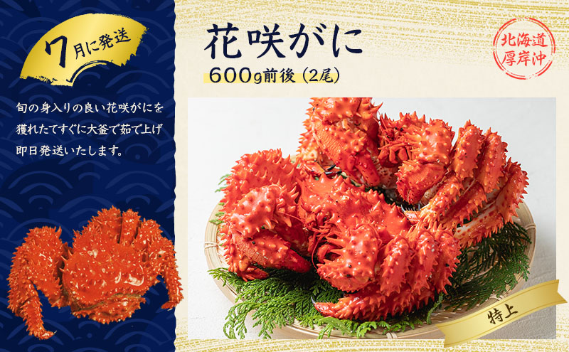 厚岸の魅力大集合 季節 定期便 全5回お届け 牡蠣 蟹 海老 ホタテ 昆布巻 海鮮 魚貝類 魚貝 海産 海産物 