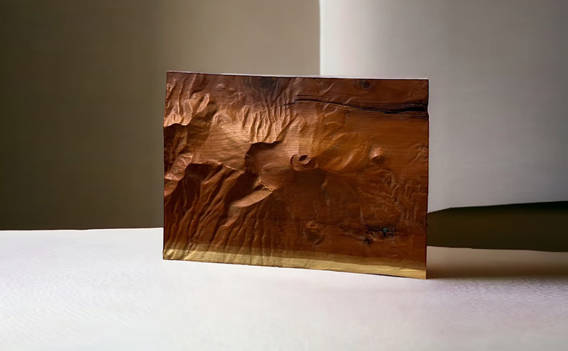 信州小諸産の木を使った浅間山の立体模型 