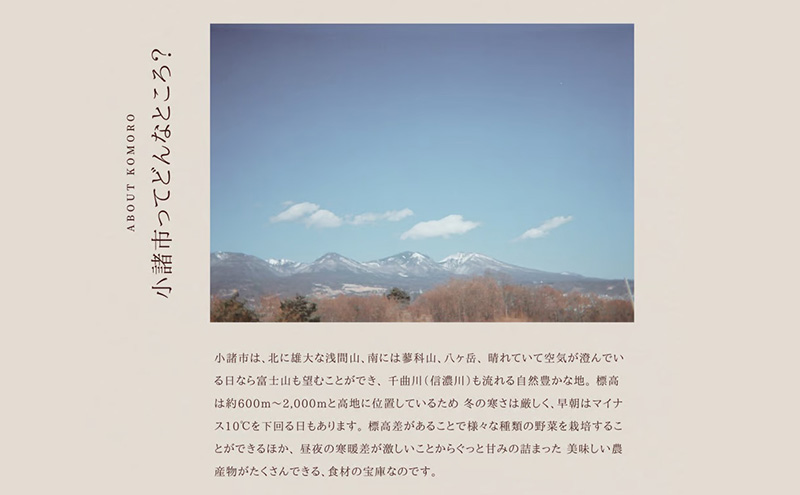 信州小諸産の木を使った浅間山の立体模型 