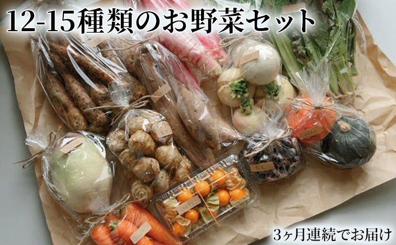 【長野県小諸市】野菜の定期便 てのひら小諸 12〜15種類 3ヶ月連続お届け