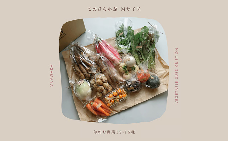 野菜の定期便 てのひら小諸 12～15種類 3ヶ月連続お届け 