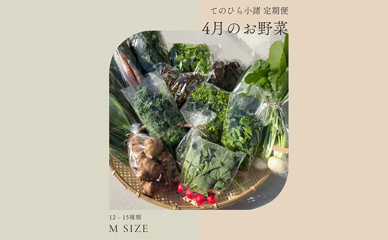 野菜の定期便 てのひら小諸 12～15種類 3ヶ月連続お届け 