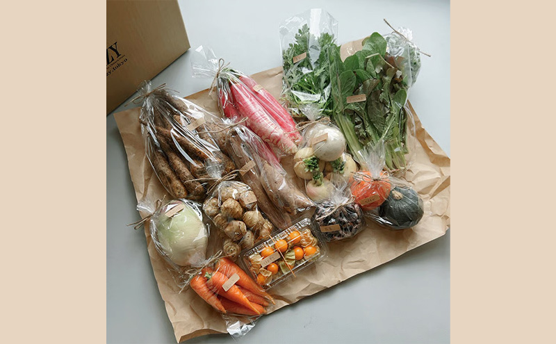 野菜の定期便 てのひら小諸 12～15種類 3ヶ月連続お届け 