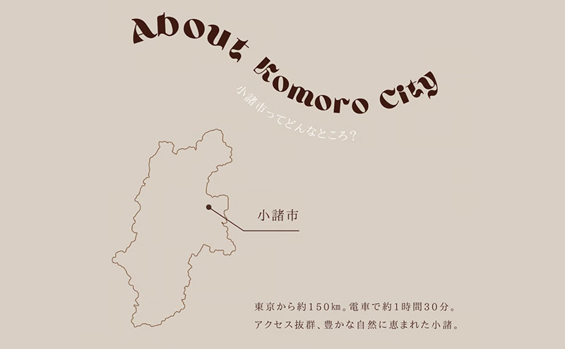 野菜の定期便 てのひら小諸 12～15種類 3ヶ月連続お届け 