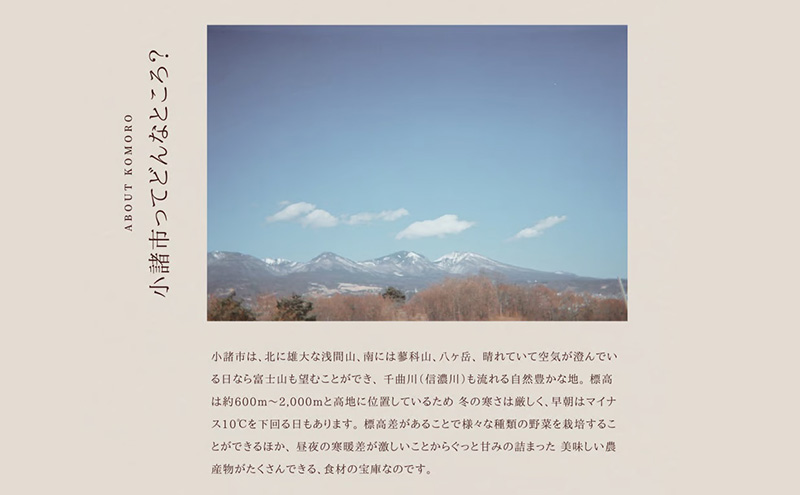 野菜の定期便 てのひら小諸 12～15種類 3ヶ月連続お届け 