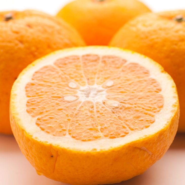 ＜4月より発送＞厳選 甘夏柑2.5kg+250g（傷み補償分）◇【初夏のみかん・旬の果物】【有田産】【光センサー食べ頃出荷】 ※北海道・沖縄・離島への配送不可　※2026年4月上旬～5月下旬頃に順次発送予定