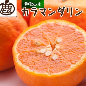 【和歌山県美浜町】<4月より発送>厳選 カラマンダリン1kg+250g(傷み補償分)◇【南津海・なつみ】【希少な春柑橘】【みかんと同じように食べられます】 ※北海道・沖縄・離島への配送不可 ※2026年4月上旬〜5月下旬頃に順次発送予定