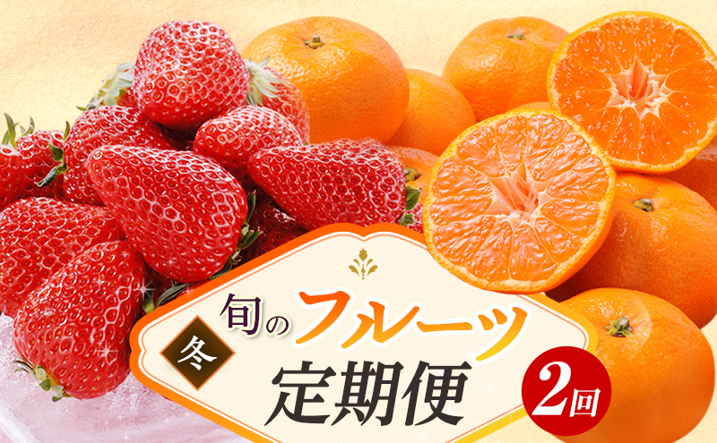 【2026年1月中旬より発送】 フルーツ 