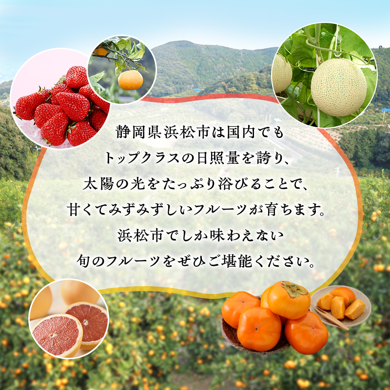 静岡県浜松市のふるさと納税 【2025年11月上旬より発送】浜松市のフルーツ定期便 3回（11月～1月）次郎柿・三ヶ日みかん早生・紅ほっぺ【配送不可：離島】