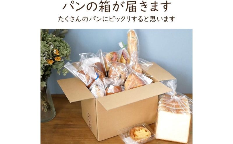 【定期便6ヶ月】茅ヶ崎B-grottoの人気パン入りおススメセット 食パン お惣菜パン クロワッサン 冷凍 パン/菓子パ菓子パン 