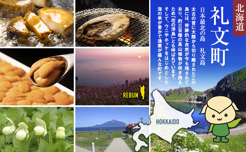 8月26日地元で獲れたてムラサキウニ10枚セット 北海道 礼文島産 採れたて キタムラサキウニ 塩水パック 100g×3