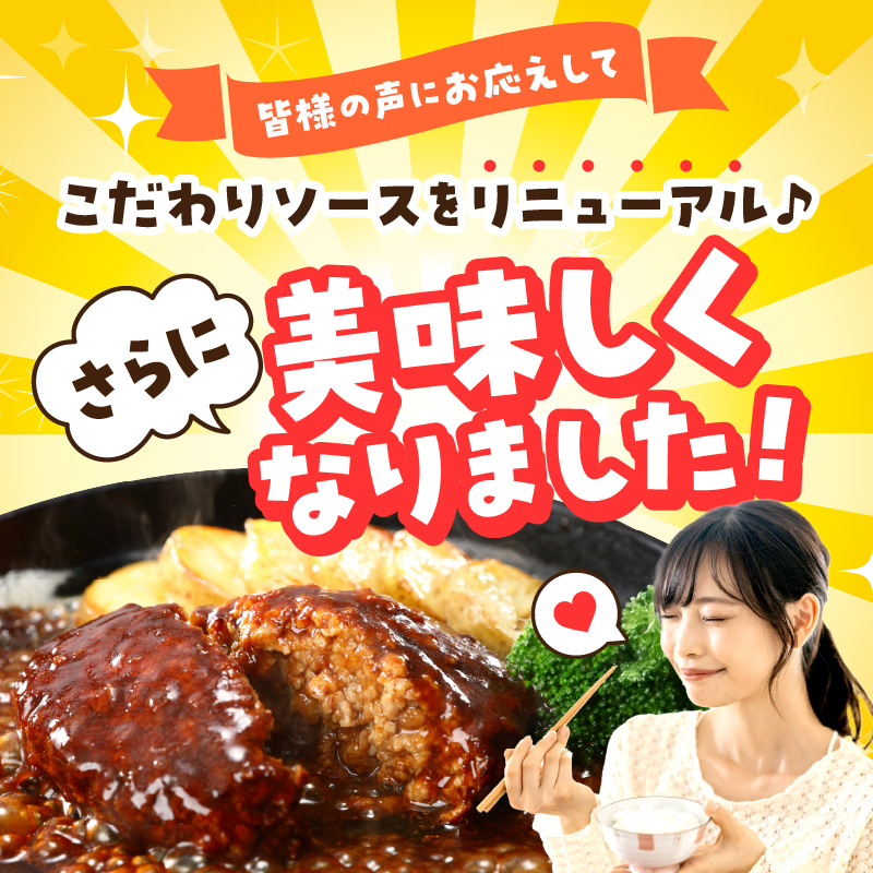 福岡県飯塚市のふるさと納税 鉄板焼ハンバーグ デミソース 10個	【A-848】