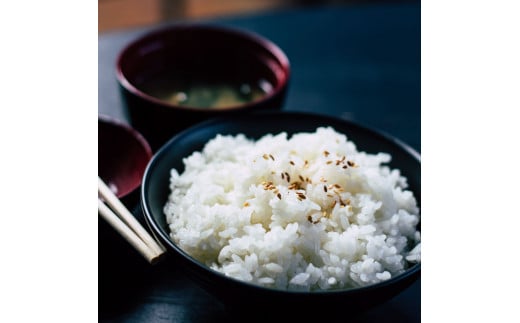 先行予約 令和7年産 無洗米コシヒカリ3キロ 3kg 米 白米 精米 新米 むせんまい こしひかり コシヒカリ ブランド米 おこめ こめ 飯 ご飯 ごはん おにぎり おいしい 常温 人気 ギフト