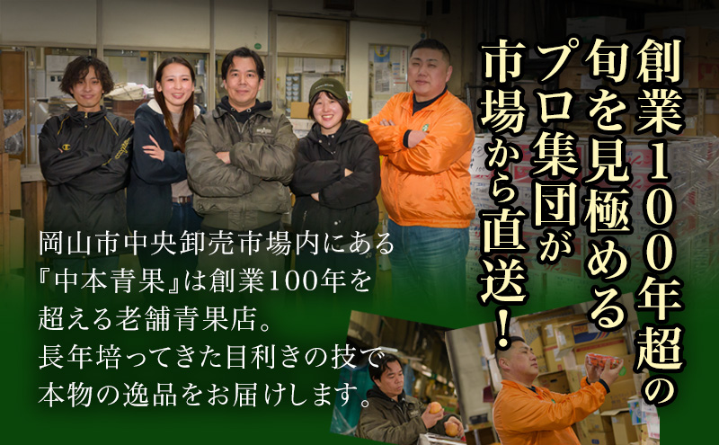 桃 2026年 先行予約 岡山 の 白桃 6玉（合計1.6kg以上）化粧箱入り もも モモ 岡山県産 国産 フルーツ 果物 ギフト 