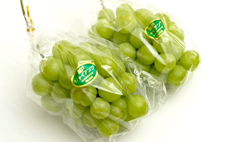 ぶどう 2026年 先行予約 瀬戸 ジャイアンツ 2房（1房480g以上）約1kg 化粧箱入り ブドウ 葡萄  岡山県産 国産 フルーツ 果物 ギフト 薄皮 皮ごと 高糖度 酸味控えめ 甘酸っぱい 