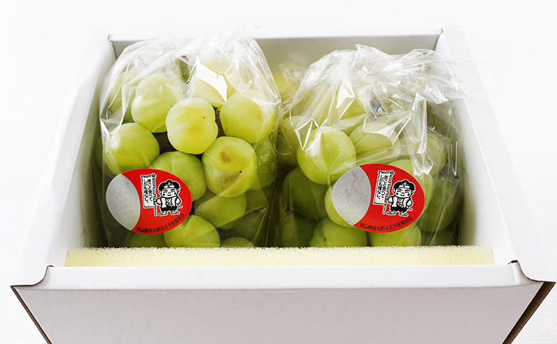 ぶどう 2026年 先行予約 桃太郎 ぶどう 2房（合計約940g）化粧箱入り マスカット ブドウ 葡萄  岡山県産 国産 フルーツ 果物 ギフト 大粒 果実 種無し そのまま 粒ごと 酸味 甘さ 人気 