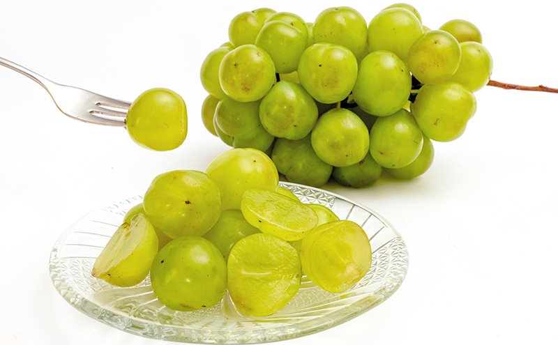 ぶどう 2026年 先行予約 瀬戸 ジャイアンツ 2房（1房480g以上）約1kg 化粧箱入り ブドウ 葡萄  岡山県産 国産 フルーツ 果物 ギフト 薄皮 皮ごと 高糖度 酸味控えめ 甘酸っぱい 