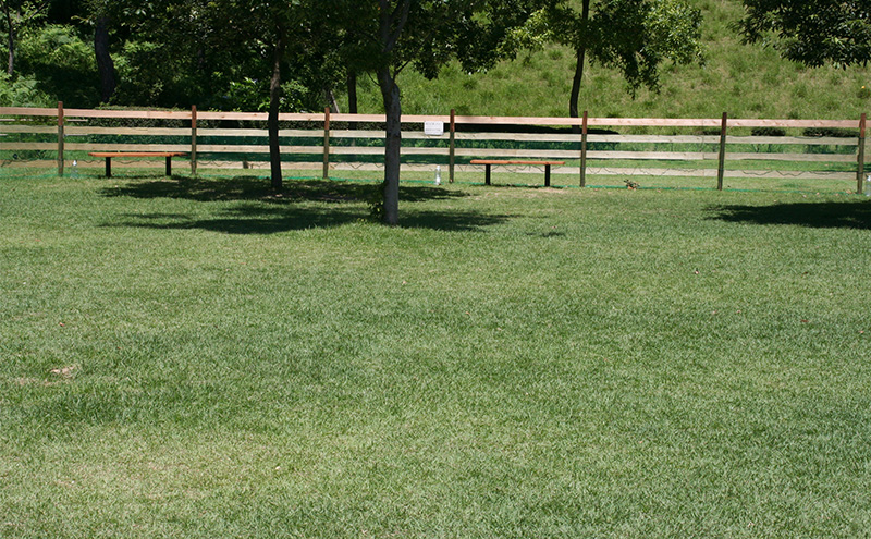 みやま公園 ドッグラン 回数券 13回分 チケット 体験 岡山県 玉野市 