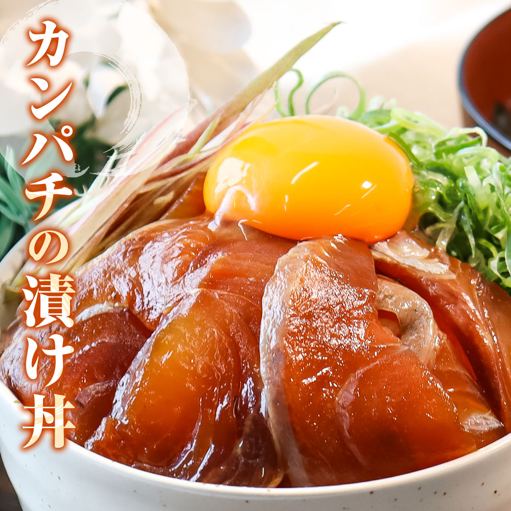 訳あり海鮮漬け丼（タイ12P・カンパチ8P）セット 漬け丼 漬け 鯛 かんぱち 勘八 白身魚 食べ比べ 海鮮 魚 冷凍 食品 保存食 小分け 高知 土佐 海鮮丼 漬け丼 ぶっかけ 鯛めし 惣菜 そうざい 訳アリ わけあり 不揃い 規格外 故郷納税 返礼品