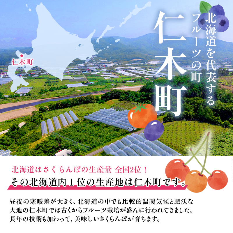 農園厳選 さくらんぼ 紅秀峰 2Lサイズ以上 600g（300g×2パック
