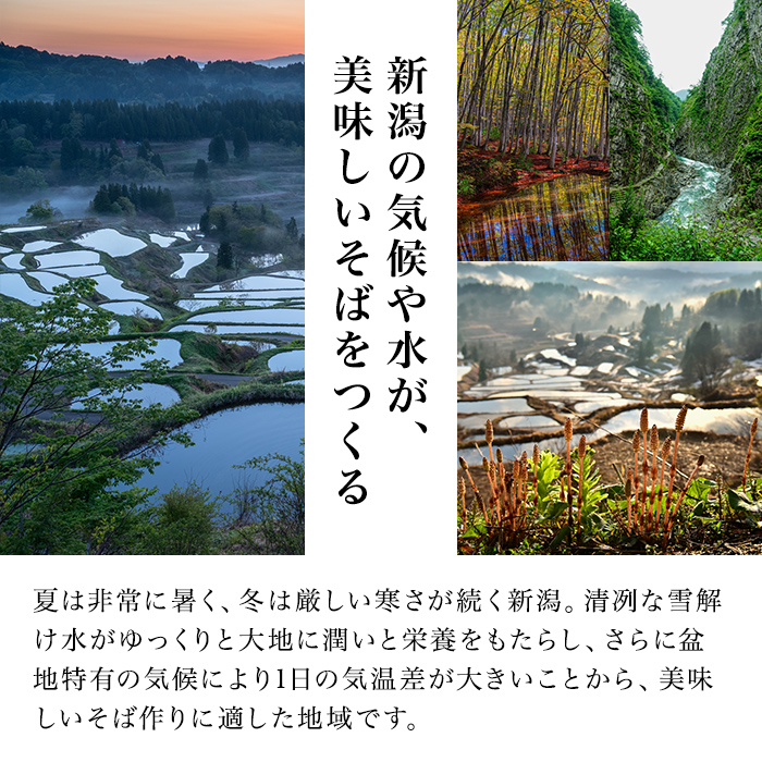 十日町名産へぎそば（4人前つゆ付）［TH-09］ 蕎麦 ソバ 乾麺 麺 麺類 新潟 
