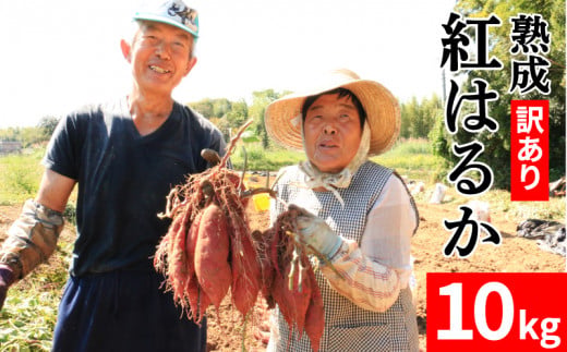 訳あり 熟成 紅はるか 10kg さつまいも いも 低温熟成 完全熟成収穫 甘い 糖度 焼き芋 やきいも スイートポテト おやつ サイズミックス 2S～3Lサイズ 高糖度 料理 国産 愛媛県 愛南町
