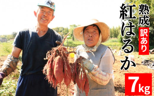 訳あり 熟成 紅はるか 7kg 2S～3Lサイズ さつまいも いも 低温熟成 完全熟成収穫 甘い 糖度 焼き芋 やきいも スイートポテト おやつ サイズミックス 2S～3Lサイズ 高糖度 料理 国産 愛媛県 愛南町 青果市場