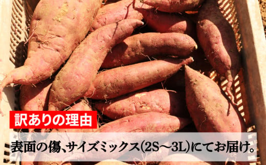 訳あり 熟成 紅はるか 7kg 2S～3Lサイズ さつまいも いも 低温熟成 完全熟成収穫 甘い 糖度 焼き芋 やきいも スイートポテト おやつ サイズミックス 2S～3Lサイズ 高糖度 料理 国産 愛媛県 愛南町 青果市場