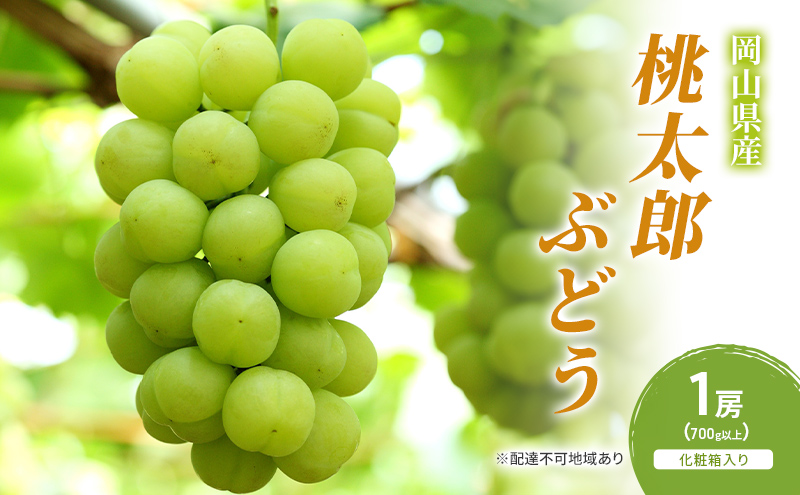 ぶどうジャーニー出品 ぶどう 2025年 先行予約 旬のぶどう詰合せ 2種2パックセット