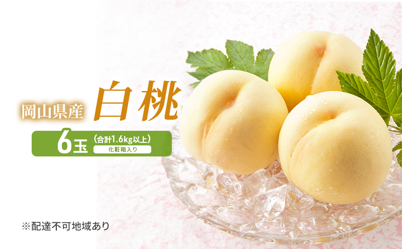 桃 2026年 先行予約 白桃 6玉 (1.6kg以上) 化粧箱入り もも モモ 岡山県産 国産 フルーツ 果物 セット ギフト 