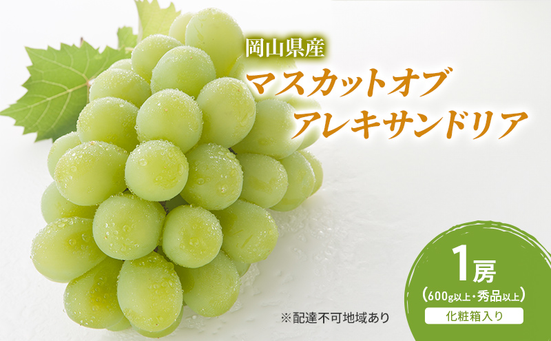 ぶどう 2026年 先行予約 マスカットオブアレキサンドリア 1房(600g以上・秀品以上) 化粧箱入り 