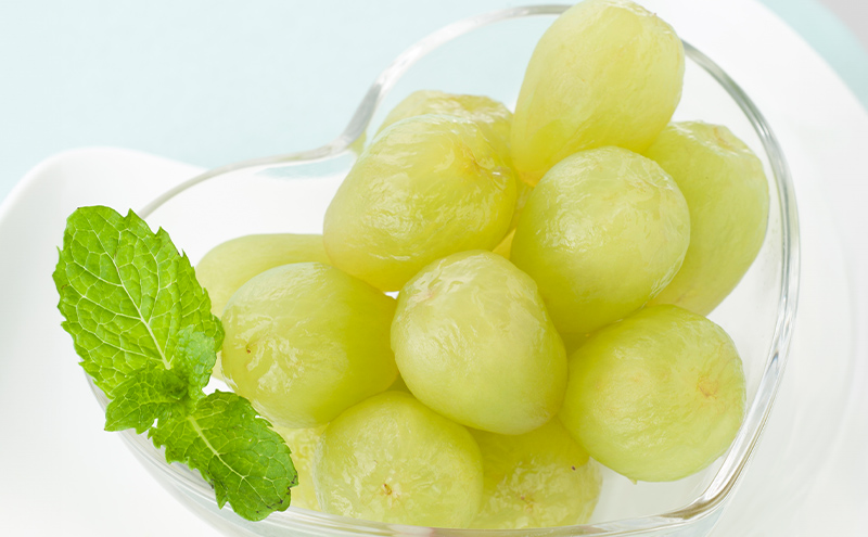 ぶどう 2026年 先行予約 マスカットオブアレキサンドリア 1房(600g以上・秀品以上) 化粧箱入り 