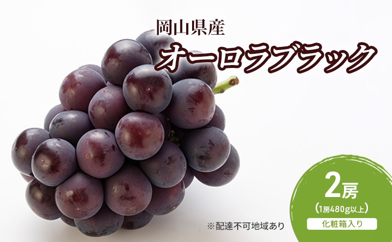 【岡山県玉野市】ぶどう 2026年 先行予約 オーロラブラック 2房(1房480g以上) 化粧箱入り ブドウ 葡萄 岡山県産 国産 フルーツ 果物 ギフト