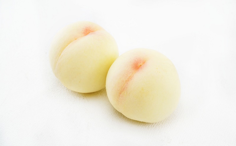 もも ぶどう 2026年 先行予約 詰合/白桃 2玉(1玉220g以上)・シャインマスカット晴王 2房(1房480g以上) 化粧箱入り 岡山県産 国産 フルーツ 果物 ギフト 