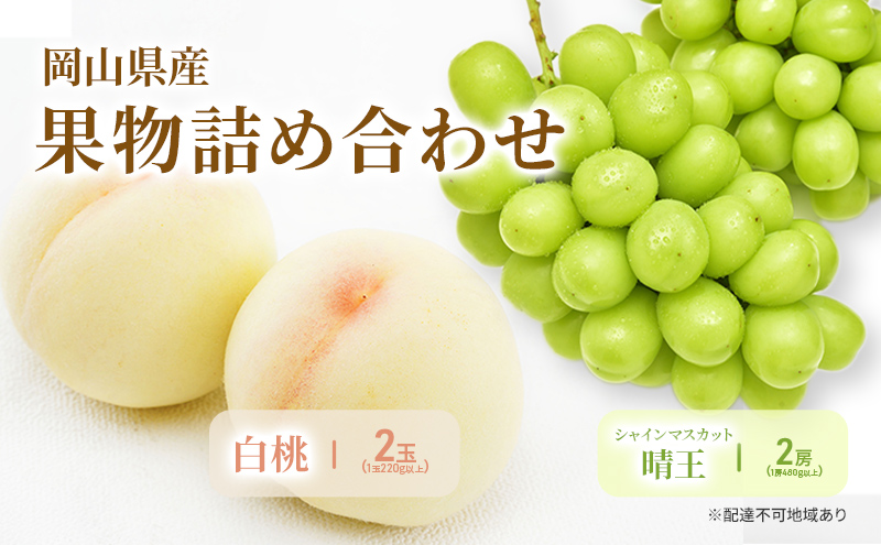 もも ぶどう 2026年 先行予約 詰合/白桃 2玉(1玉220g以上)・シャインマスカット晴王 2房(1房480g以上) 化粧箱入り 岡山県産 国産 フルーツ 果物 ギフト 